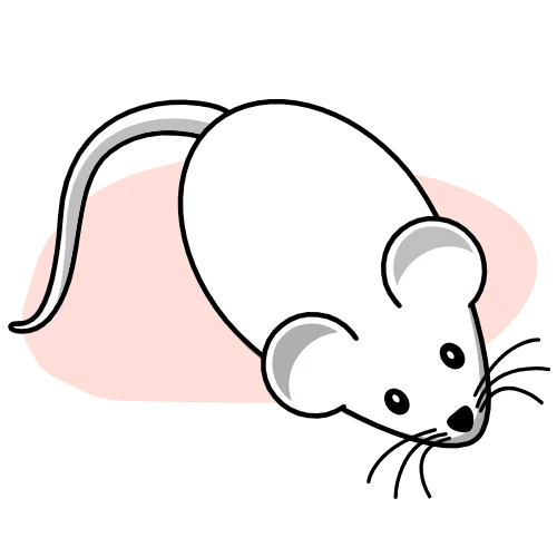 La souris sur fond rose de poweb 85